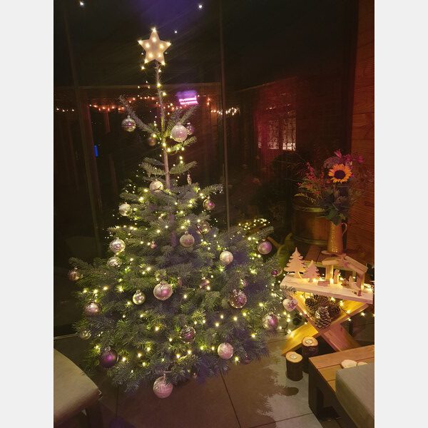 Kerststal - Afbeelding 2